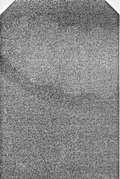 xray project thumbnail