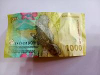 uang_baru project thumbnail