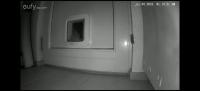cat_prey_training_images_01 project thumbnail