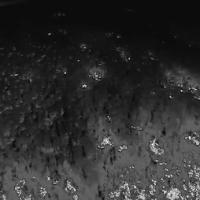 grayscale-thermal-image project thumbnail