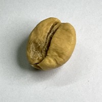 Klasifikasi Biji Kopi project thumbnail