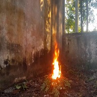fire detection Object Detection Model by Iron Wolf