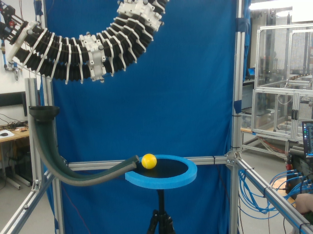 sport balls Object Detection Model by yolo5