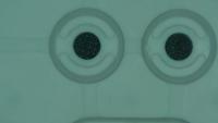 rubber project thumbnail
