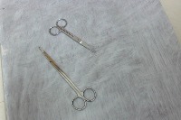 disection allis project thumbnail