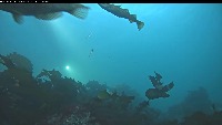 Fish4Knowledge Dataset project thumbnail