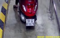 license_plate project thumbnail