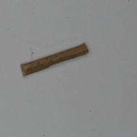 cbds project thumbnail