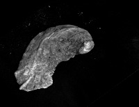 oysters project thumbnail