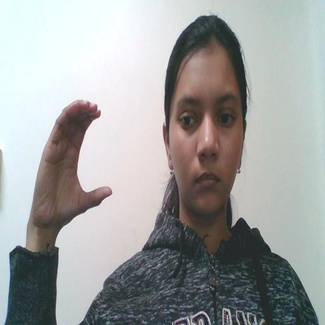 Sign Language Object Detection Dataset by counterspellstuff