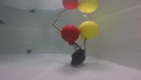 red_buoy project thumbnail
