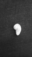 Cashew project thumbnail