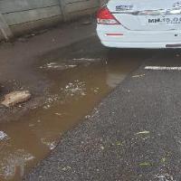 Stagnant_water project thumbnail