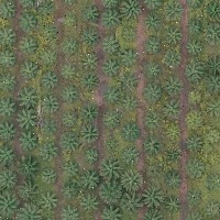 trees Instance Segmentation Dataset by oil palm trees detection