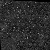 trees Instance Segmentation Dataset by oil palm trees detection