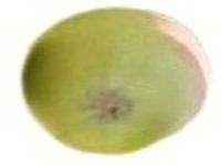 fruit project thumbnail