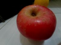 deteksi buah project thumbnail