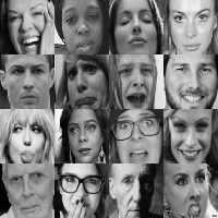 facial-expression recognition Object Detection Dataset by superexpression