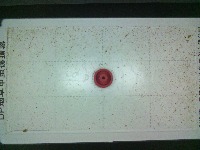 YCDetector project thumbnail