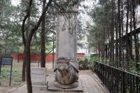 beijing-culture project thumbnail