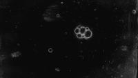 rain-ripple project thumbnail