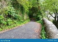 lane detection project thumbnail