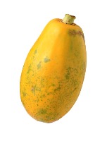 fruit malaysia project thumbnail