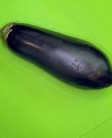 Brinjal project thumbnail