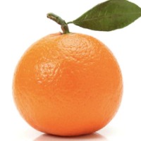 Orange-Health-1 project thumbnail