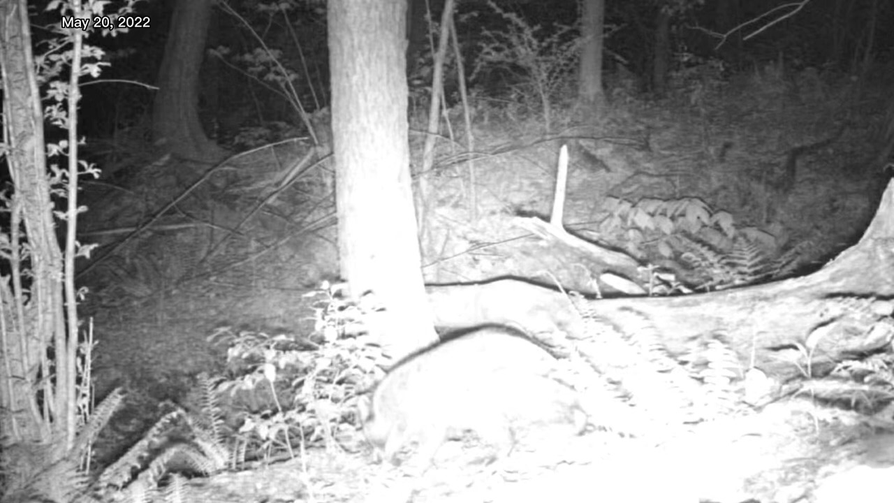 assaa - Roboflow Universe