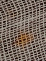 woven griege defects project thumbnail