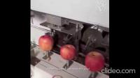 apples project thumbnail