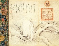 seal project thumbnail