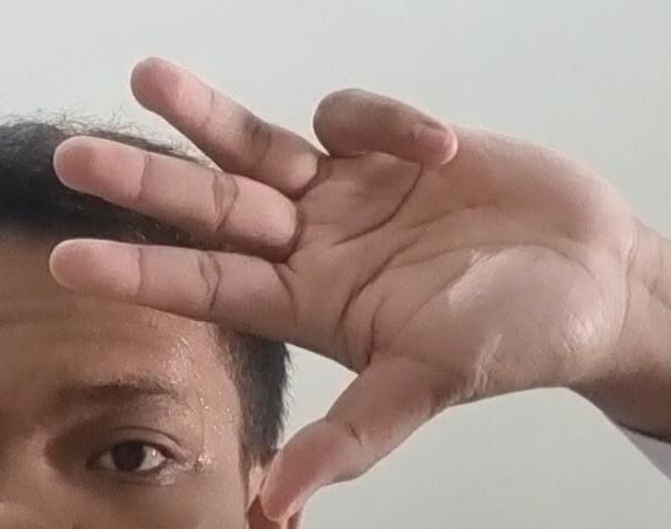 Data Set Number Hand Number Hand Gesture Recognition Classification Dataset by Final ...