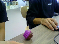 Dataset Image