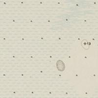 Bos Detection project thumbnail