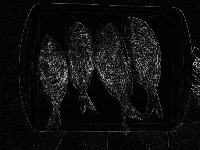 fish project thumbnail