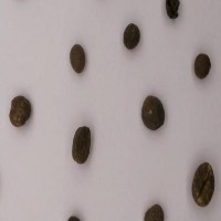 OPTIMIZED GREEN CFE BEANS project thumbnail