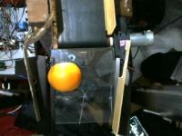 v3-tiga-buah-apel+jeruk+tomat project thumbnail