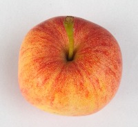 Apple Fresh and Rotten project thumbnail