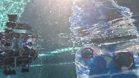 torpedo_new project thumbnail