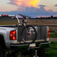 car ant bicycle project thumbnail