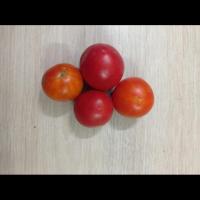 tomato annotation project thumbnail