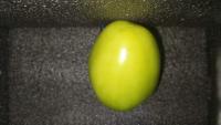 Vegetable Detection project thumbnail