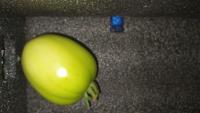 Tomato Detection project thumbnail