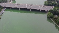 Algae project thumbnail