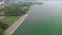 Algae Surface project thumbnail