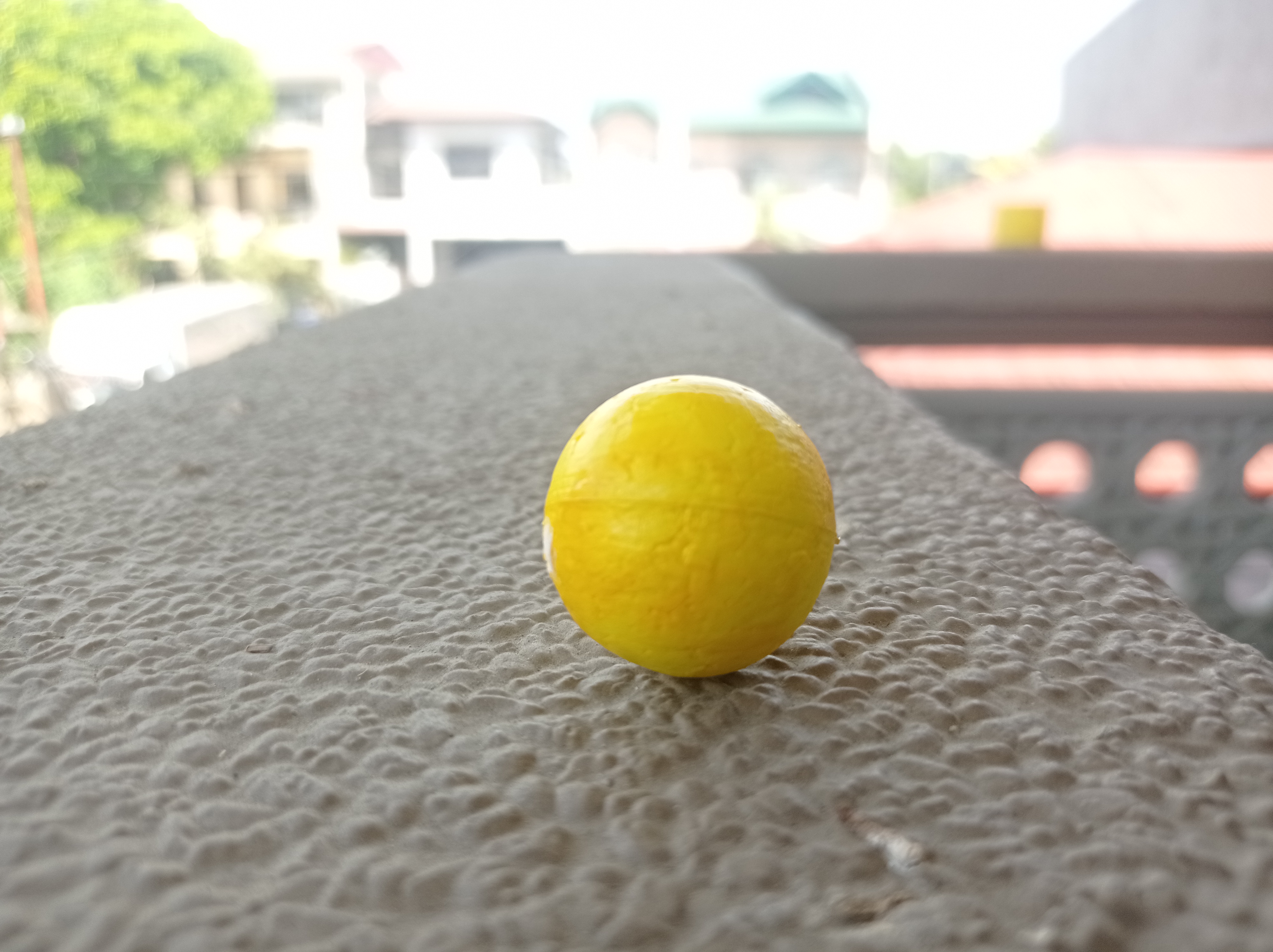 Color and Shape Recognition Object Detection Model (v6, 80-20) by Robotics