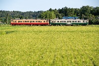 livecamera project thumbnail