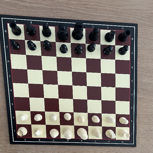 chess board detection 2 Instance Segmentation Dataset and Pre-Trained ...